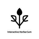 Минималистичная одноцветная иконка интерактивного гербария на белом фоне для курсов по фармакогнозии